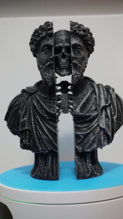 Marcus Aurelius Spirit Bust