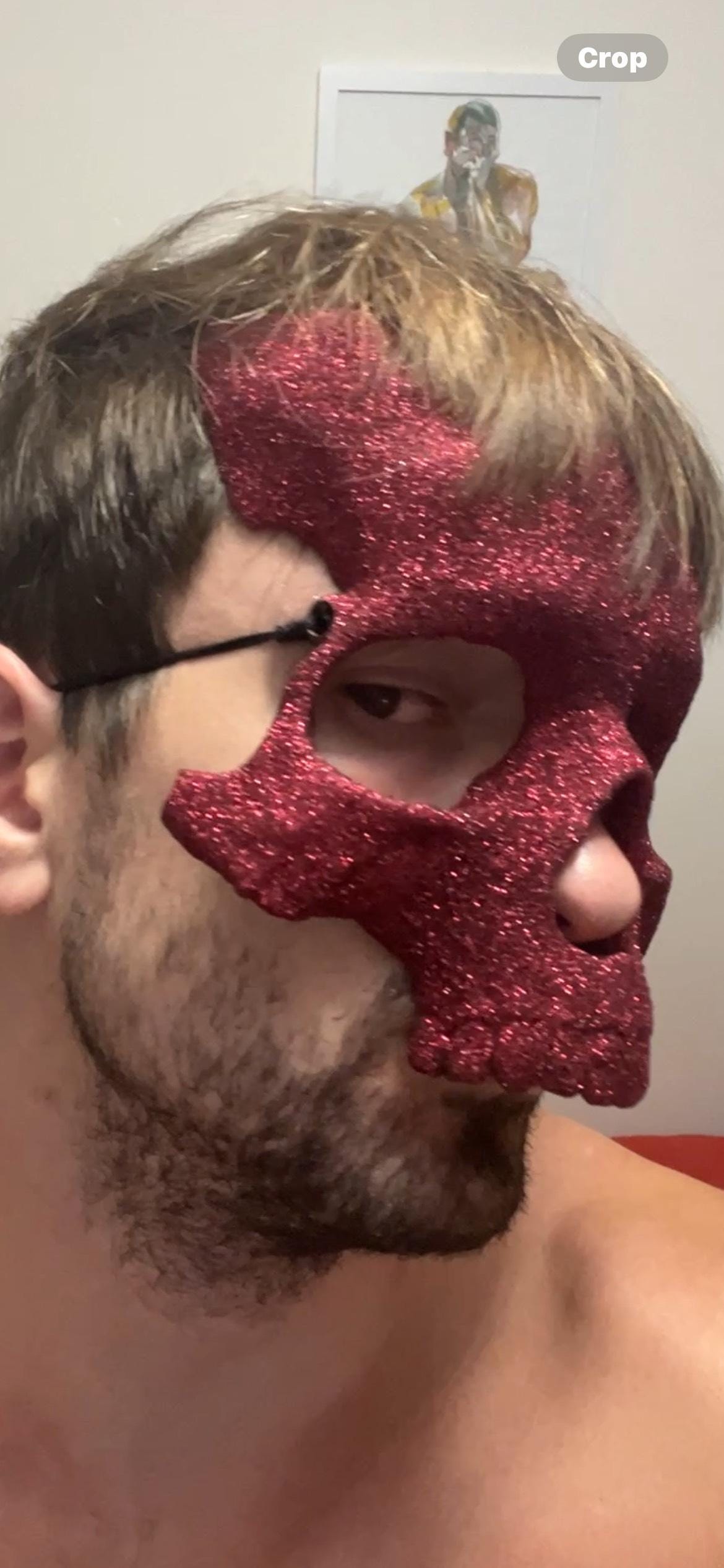 Sparkling Skull Costume Mask