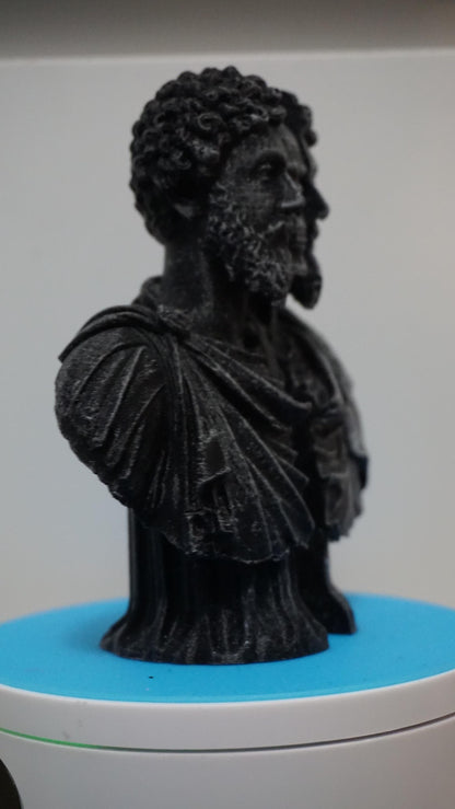 Marcus Aurelius Spirit Bust
